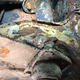 Illustration for article titled West Virginia Man Discovers Incredible 1967 Porsche 911 Buried Under A Fallen Barn